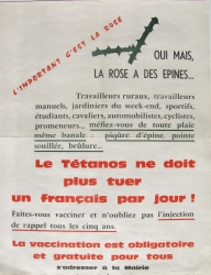 l'important c'est la rose